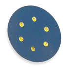 Disc Backup Pad, 5 Dia, Adhesive/PSA